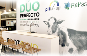 stand2