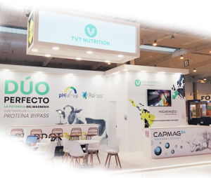 stand3